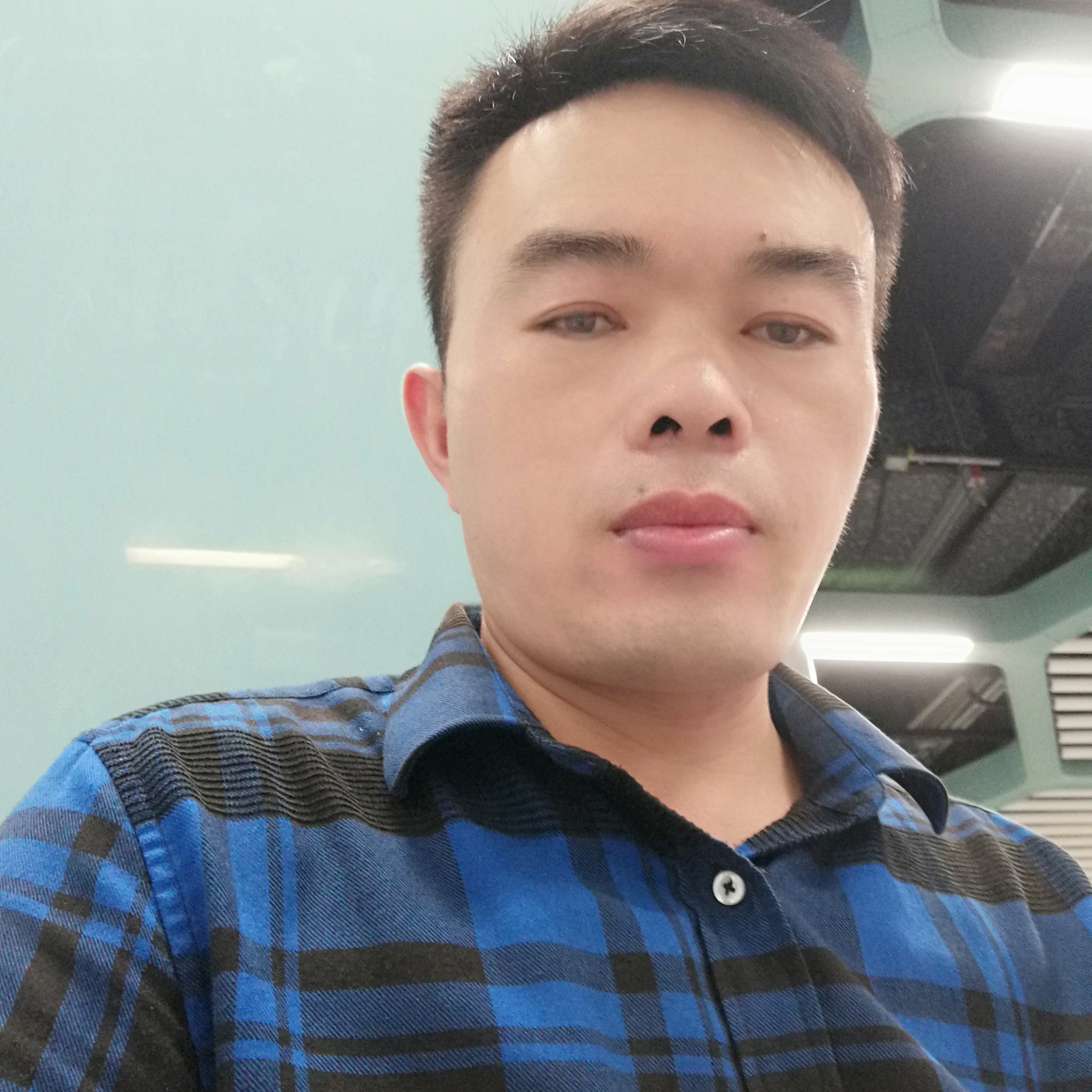 雪山寒梅的照片