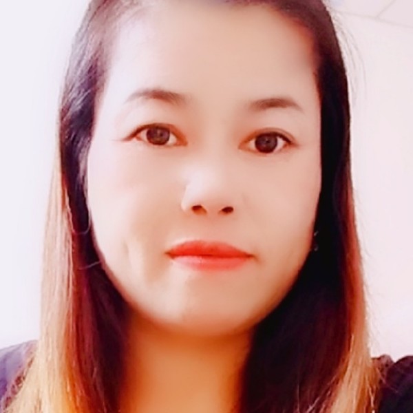 刺猬生动周静的照片