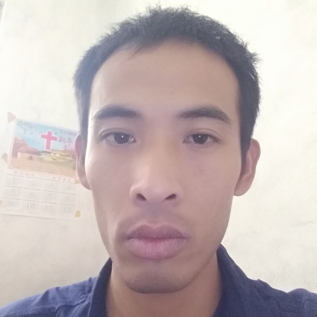 大树多么优雅的照片