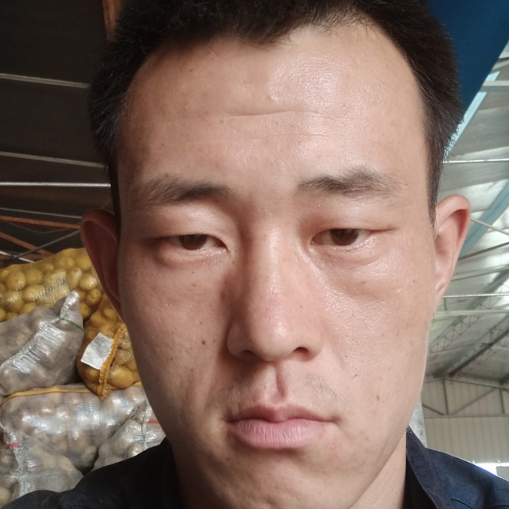 小松鼠停止俊逸的照片