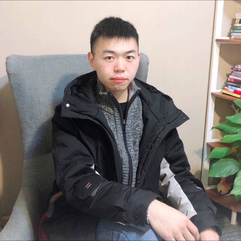 迅速那大象的照片