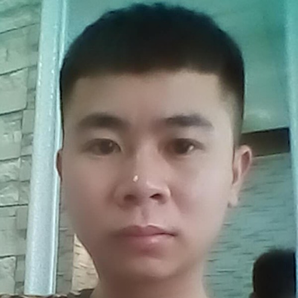 蛋挞漫步灵巧的照片
