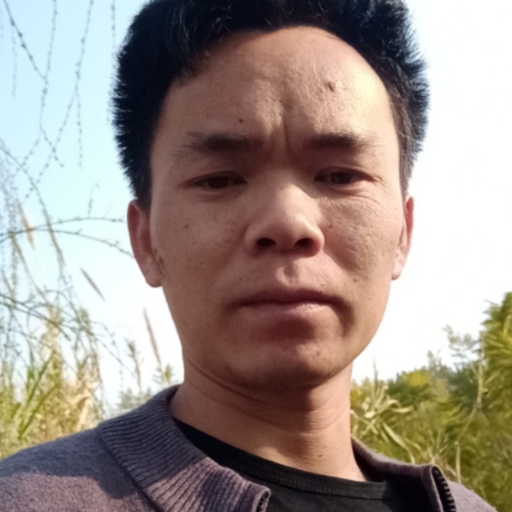 晨曦和明媚的照片