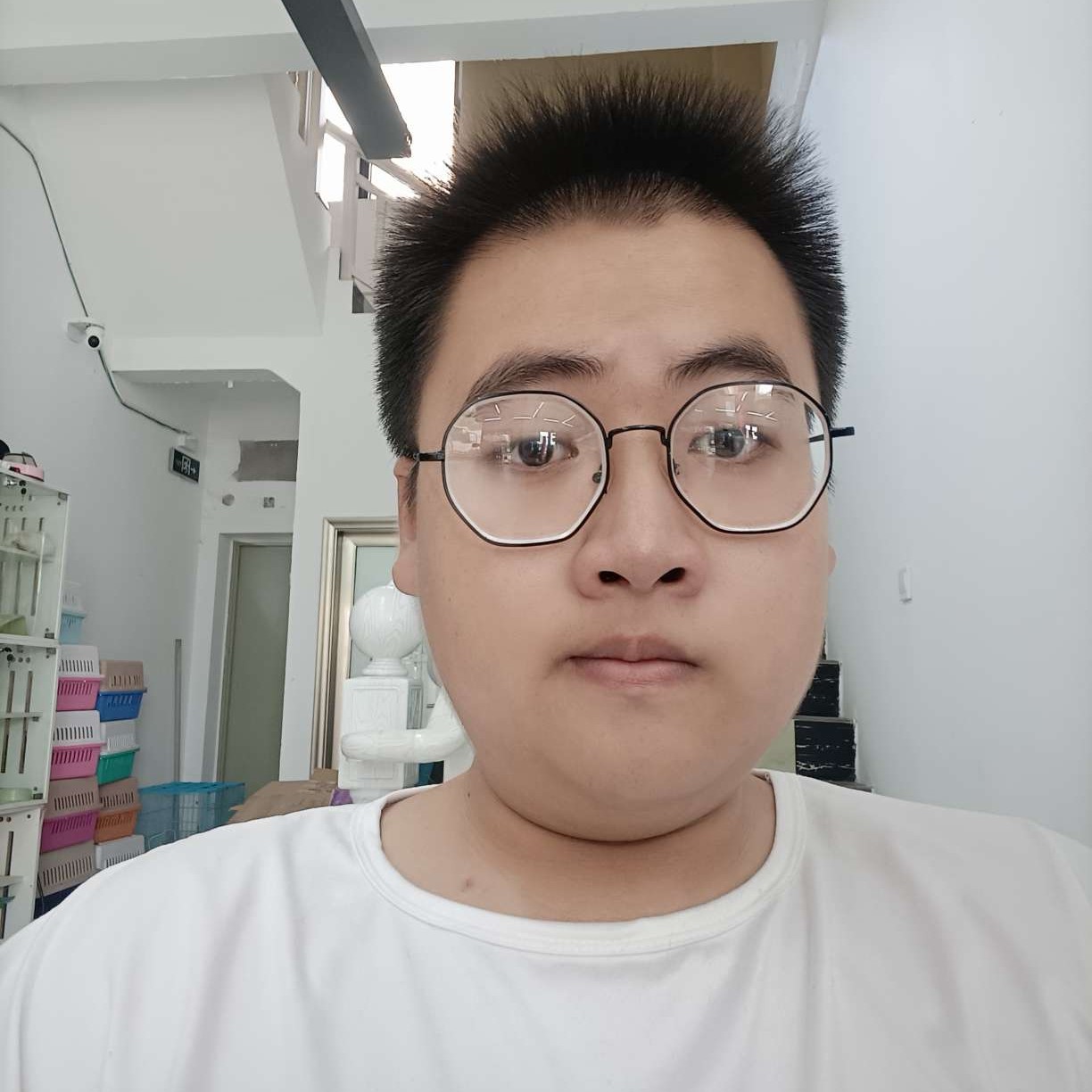 枫羽林的照片