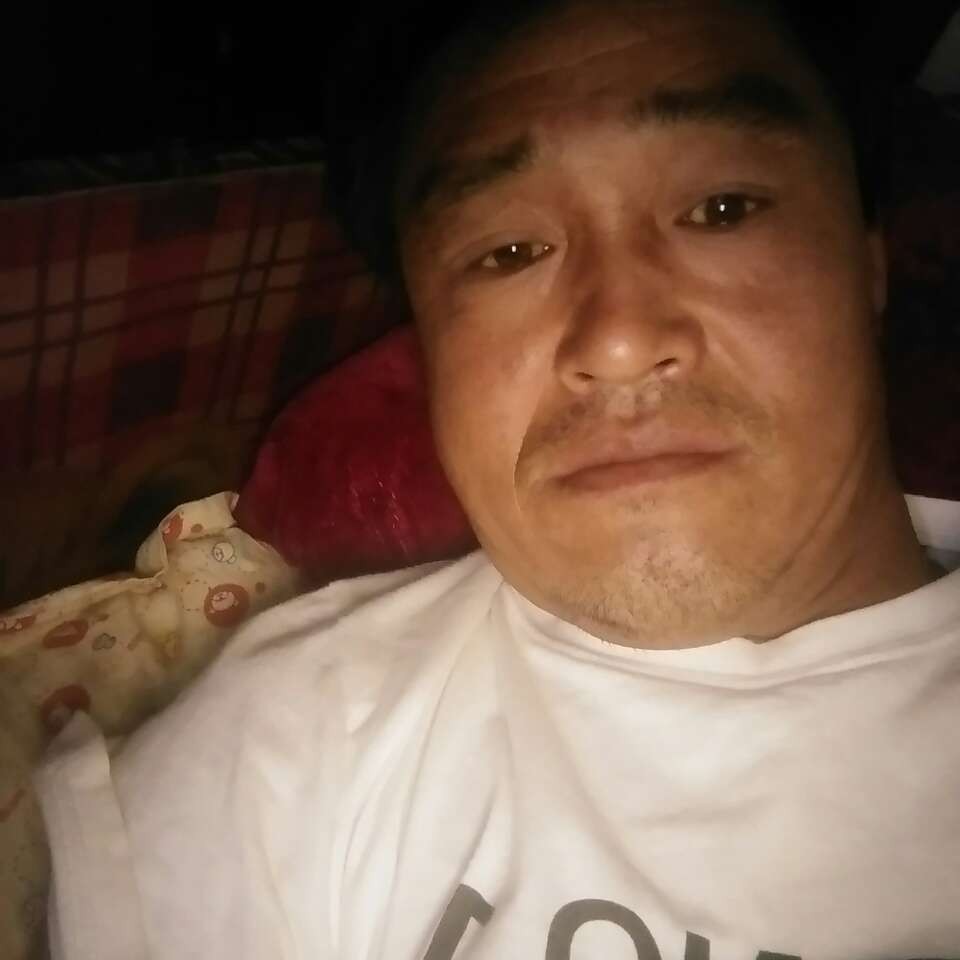 冷静漫步蜗牛的照片