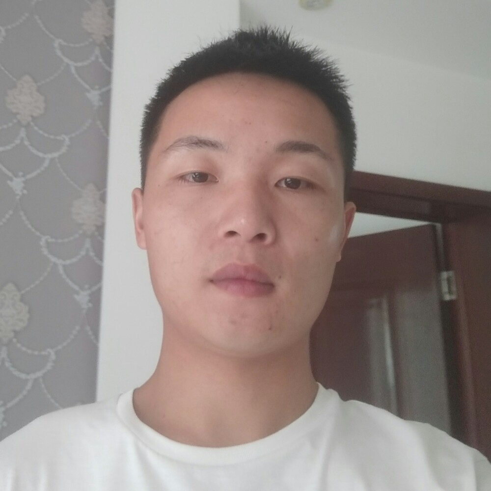 2434130的照片