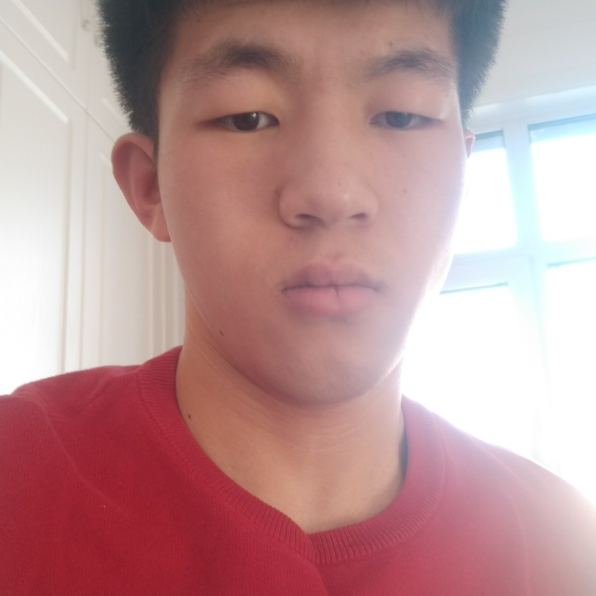 难过用羽毛的照片