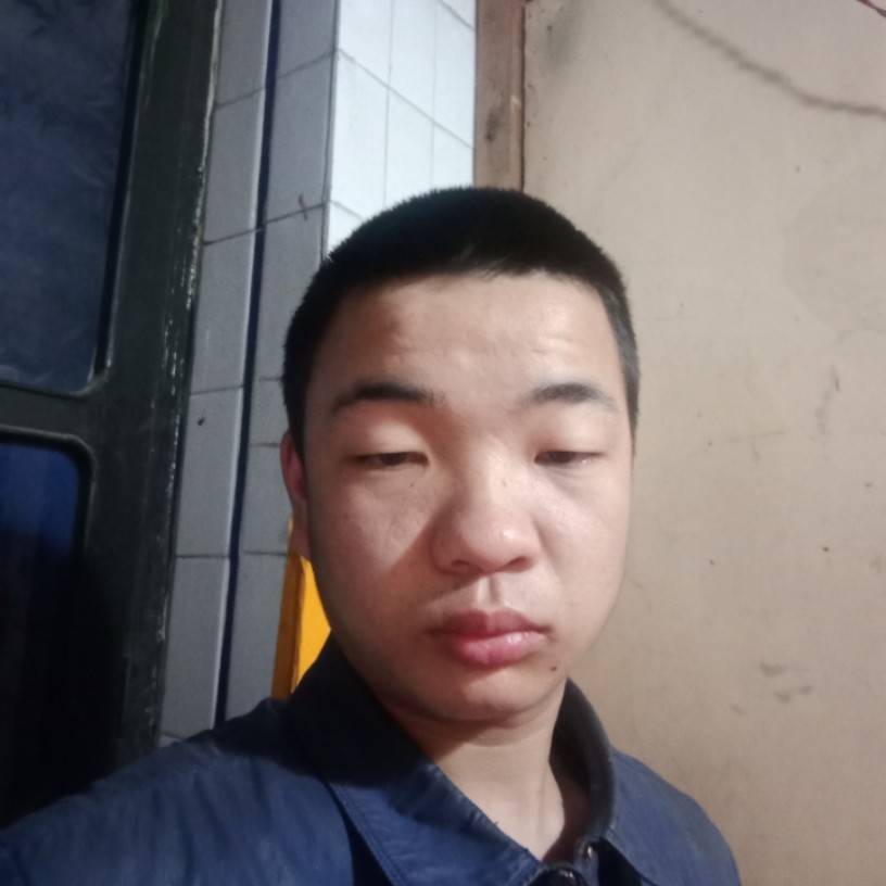 谢文武谢名泽歌的照片