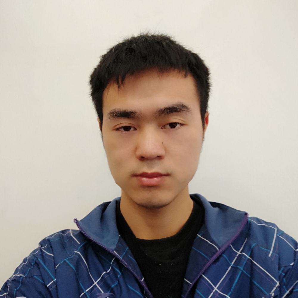 现代心岛的照片