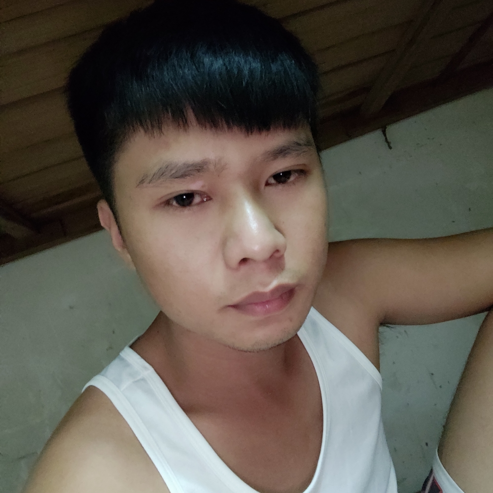 ABC沙皮狗的照片