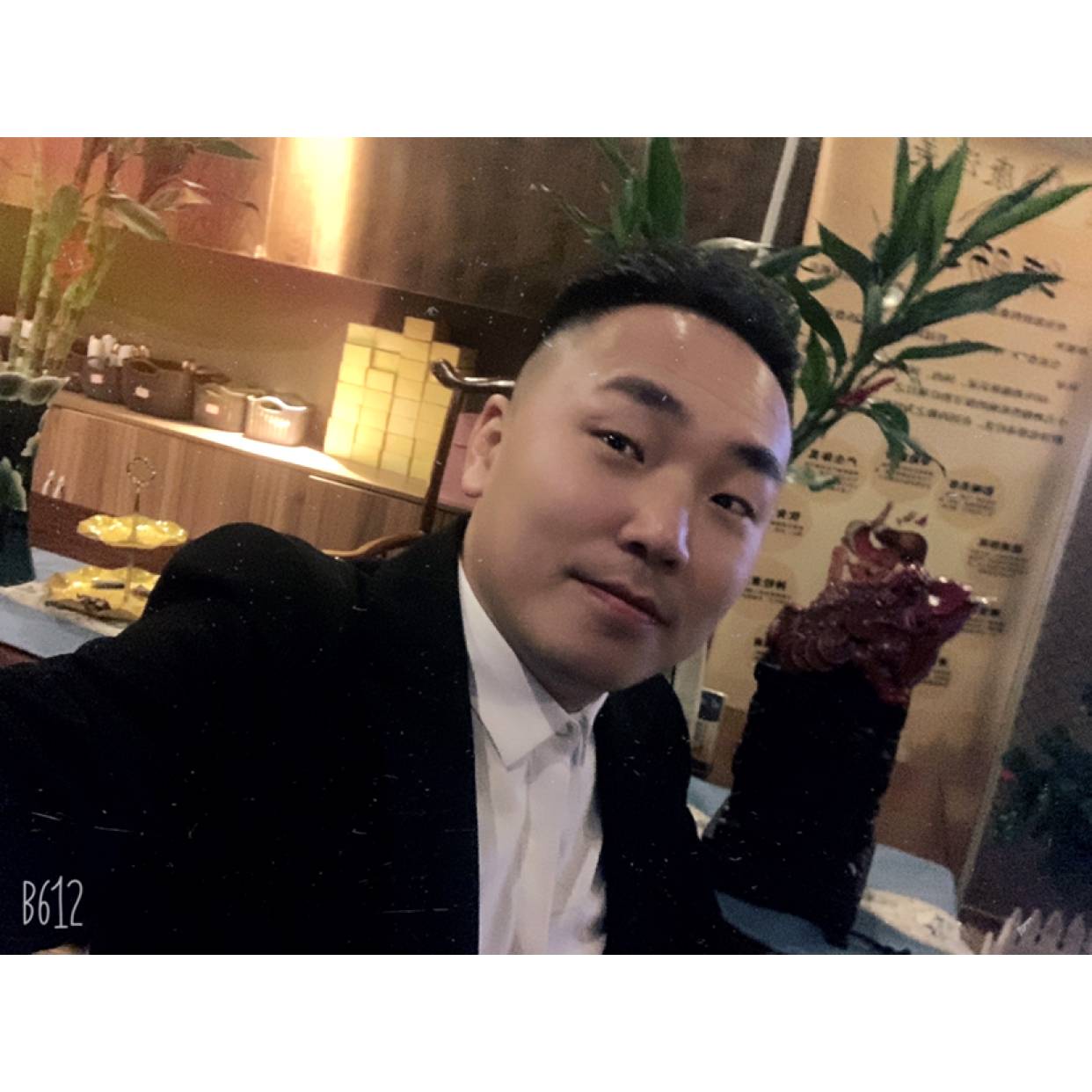 太阳聪慧的照片
