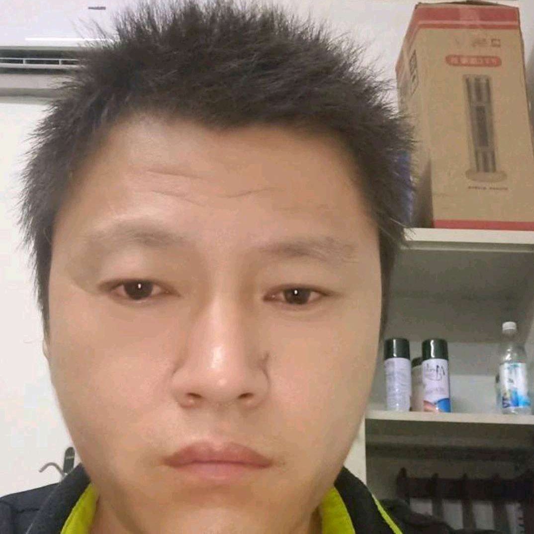 隐忍蹙眉斑马的照片