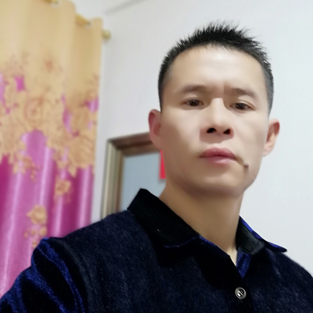 害怕保卫猫咪的照片