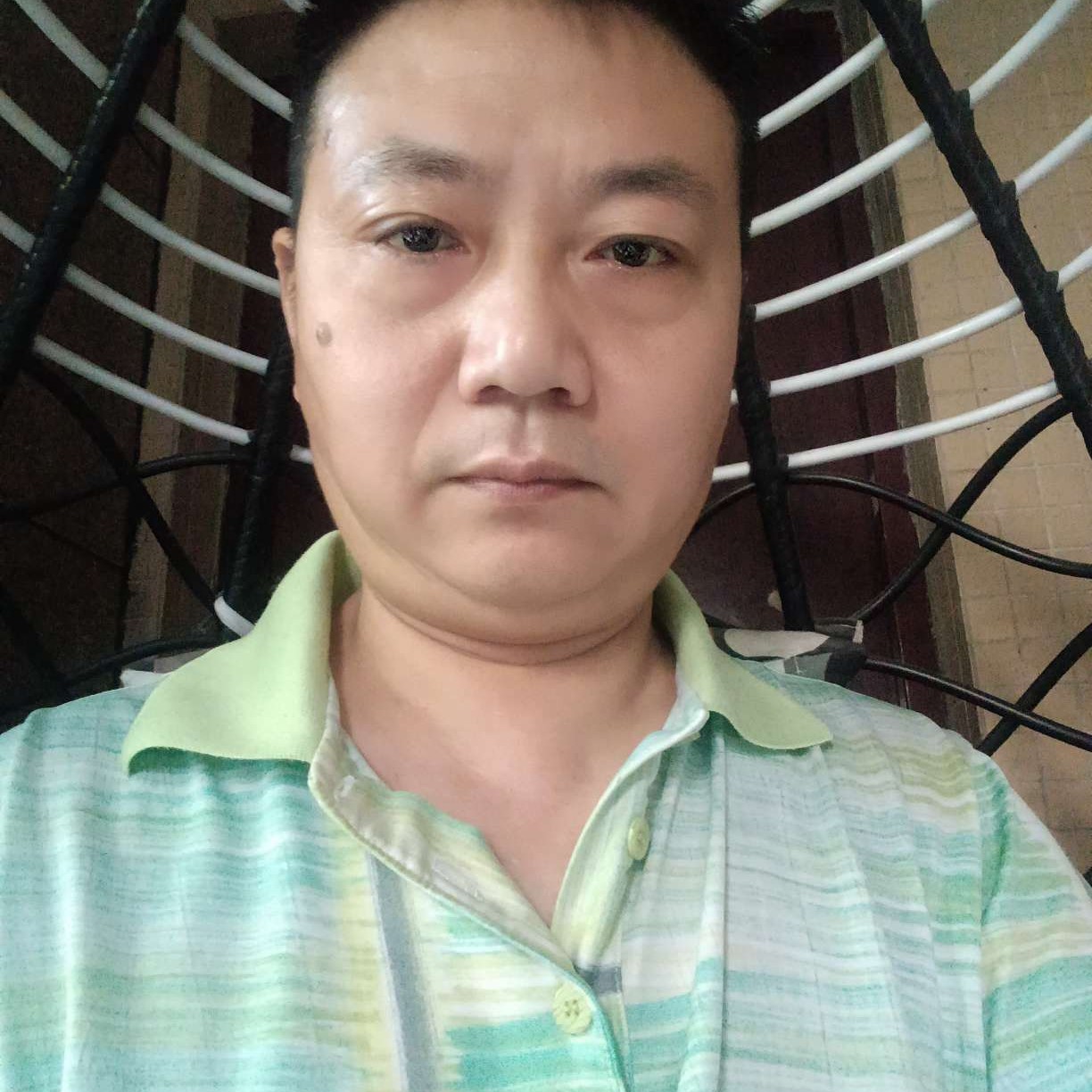 包容等于豆芽的照片