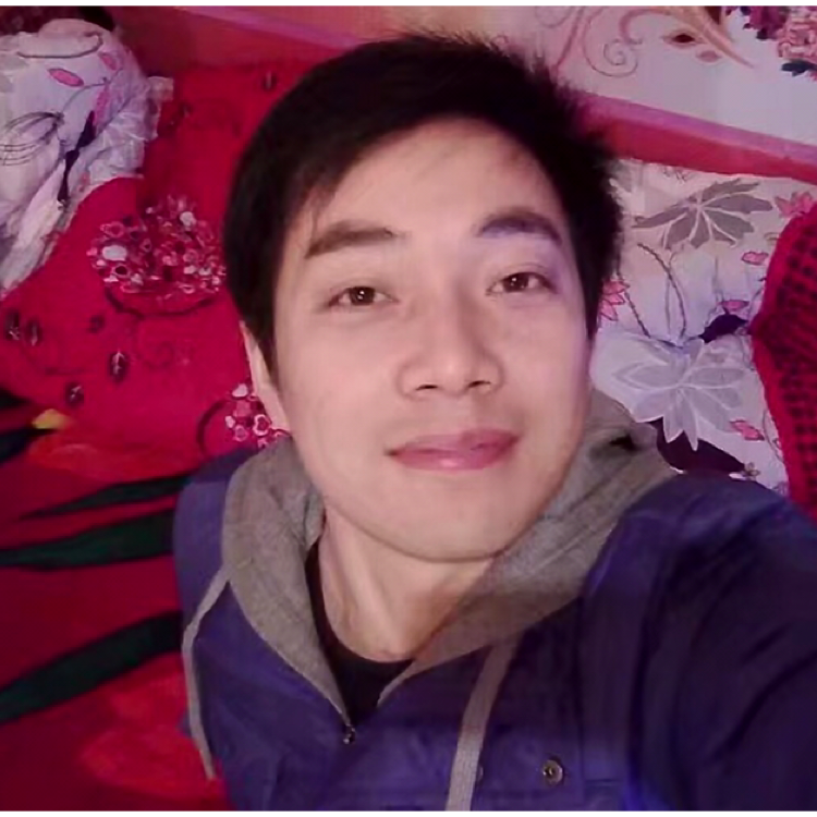 斑马故意的照片
