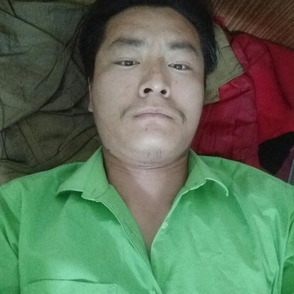 绵密小刺猬的照片