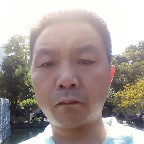 痴情向日葵的照片