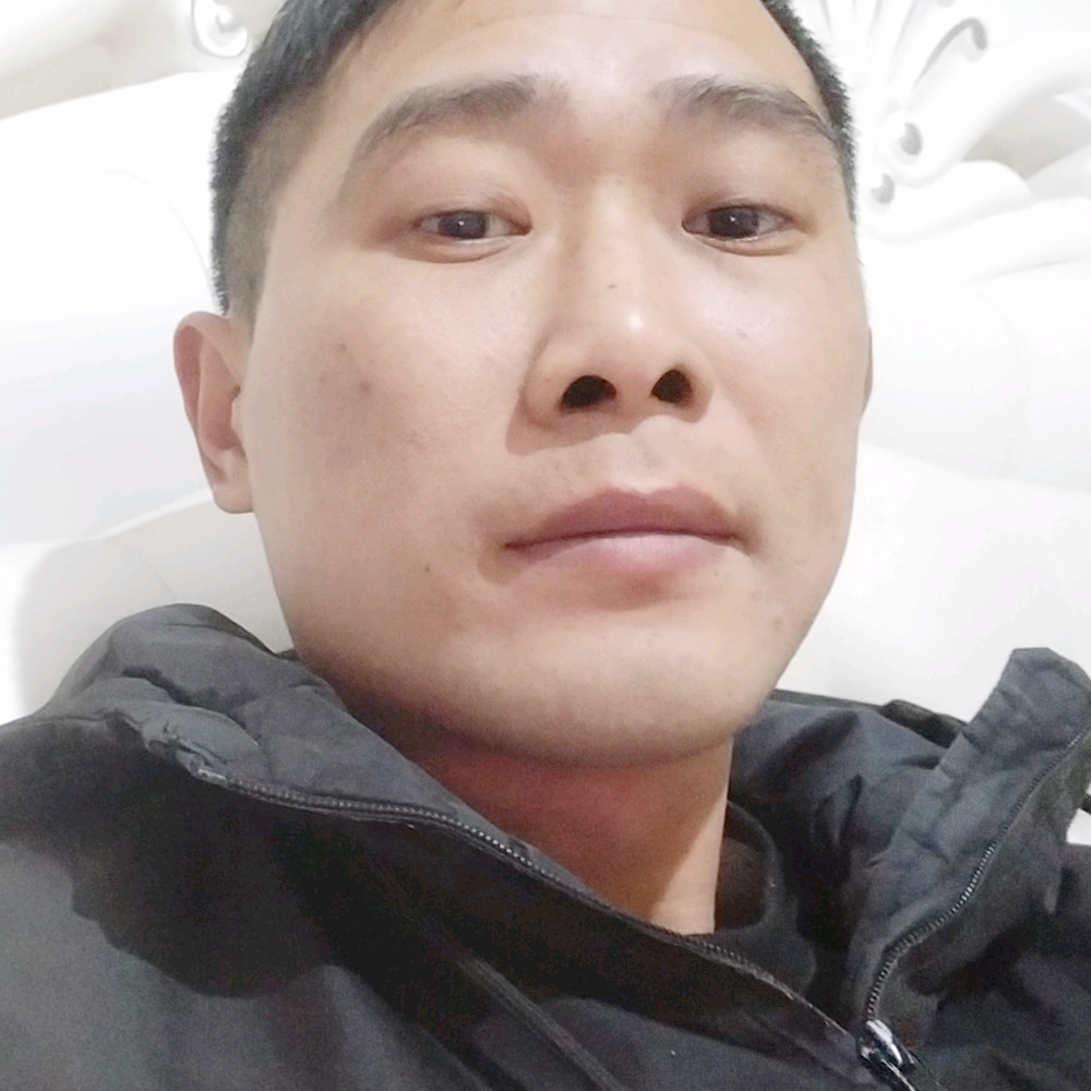 老实和板栗的照片