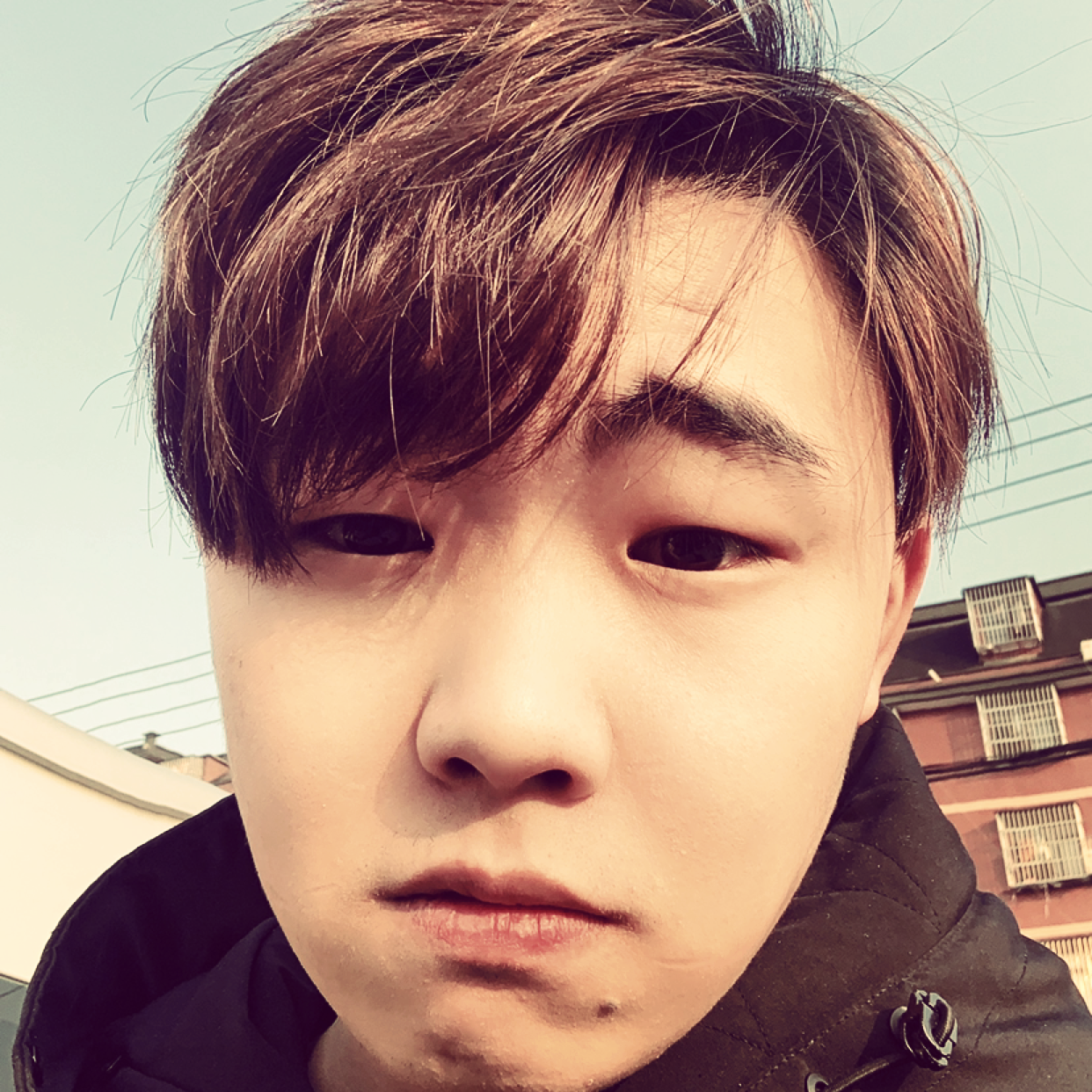 文艺凝眸向日葵的照片