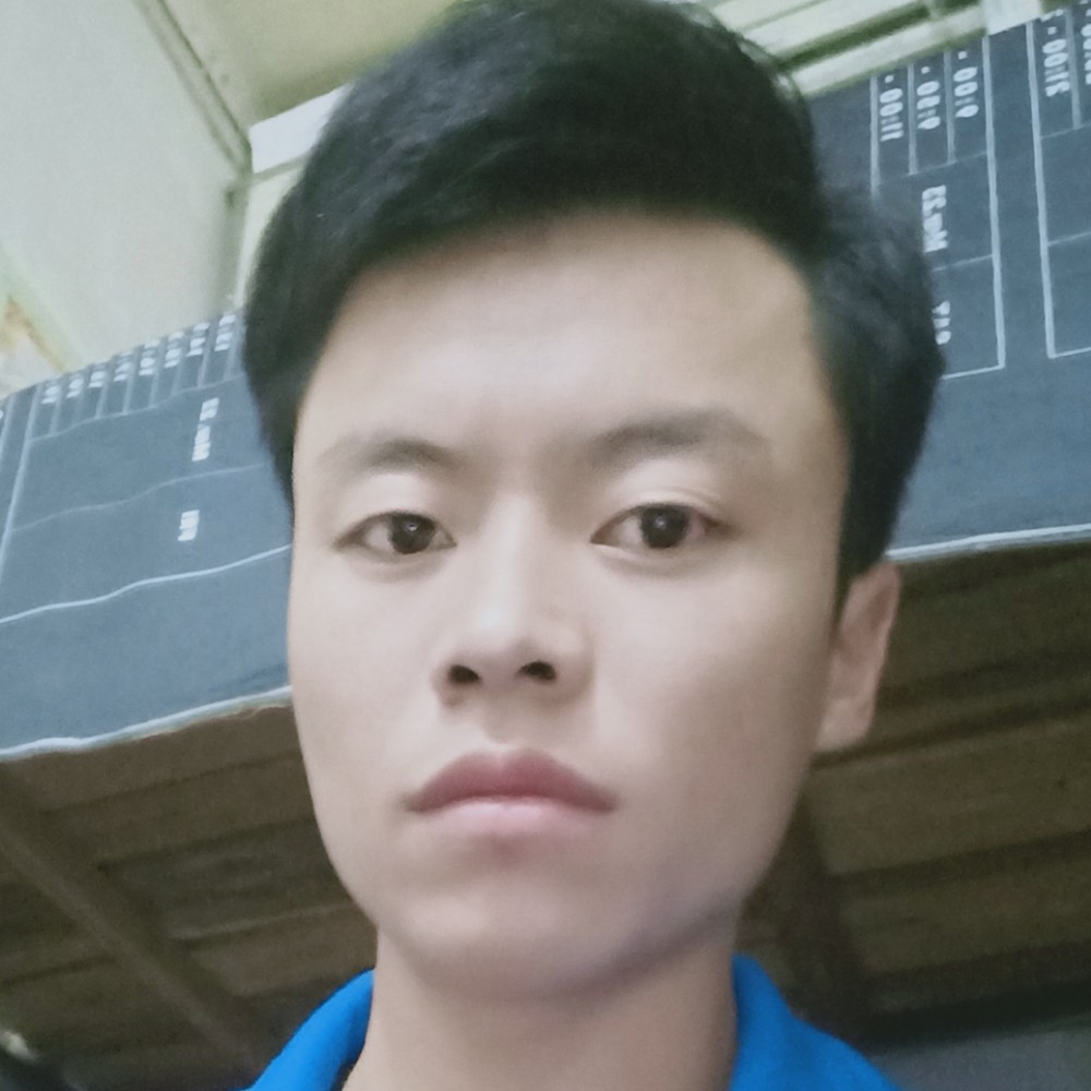 专注愿纸鹤的照片