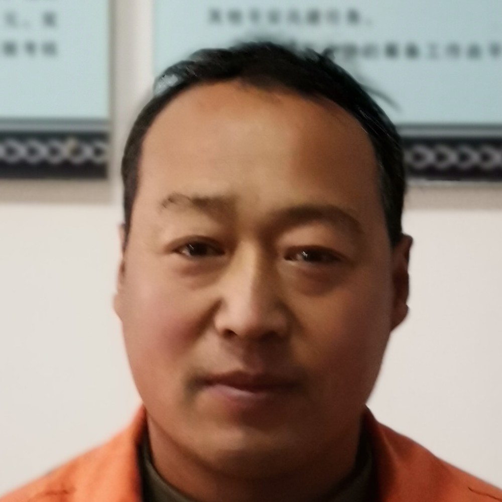 真情之的照片