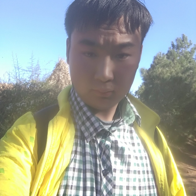 人生的回声的照片