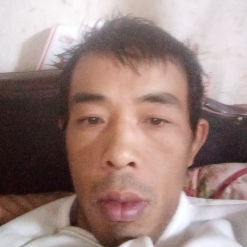 王彦彦的照片