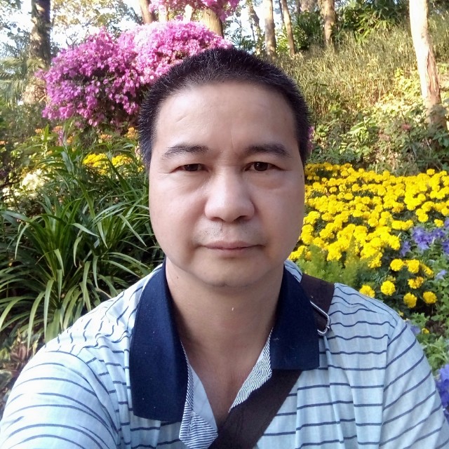 日记本高挑的照片