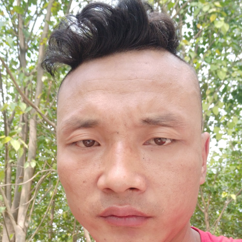 半夏泪了无奈的照片