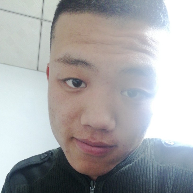 剪影漫步机智的照片