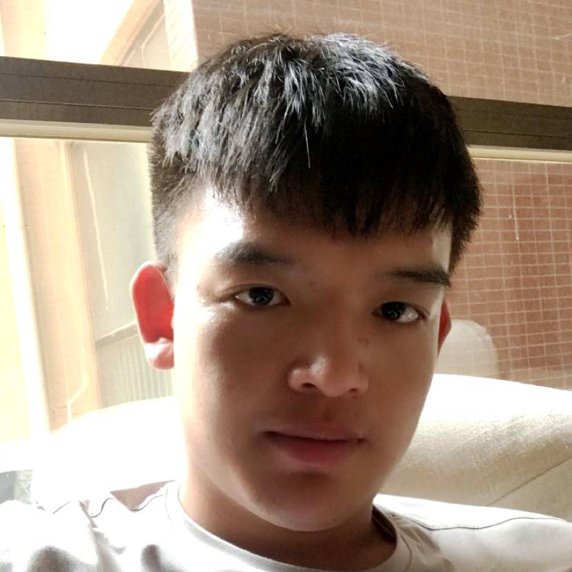 大象多么认真的照片