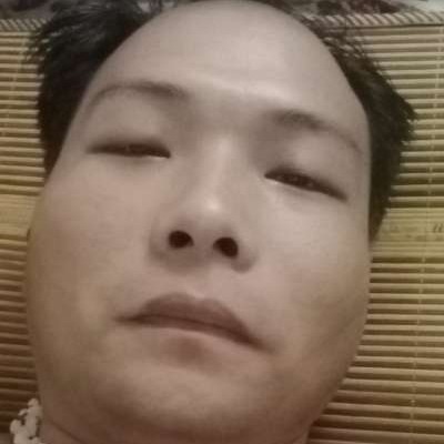 刺猬踢精明的照片
