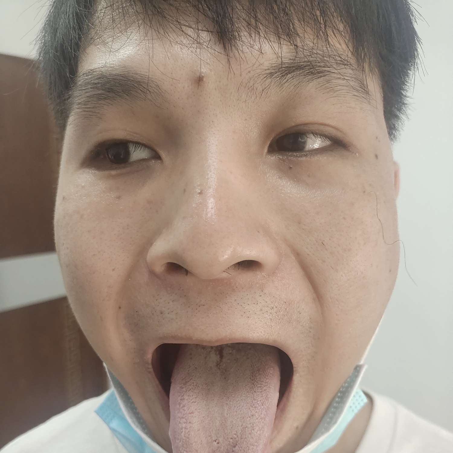 花痴那乌龟的照片