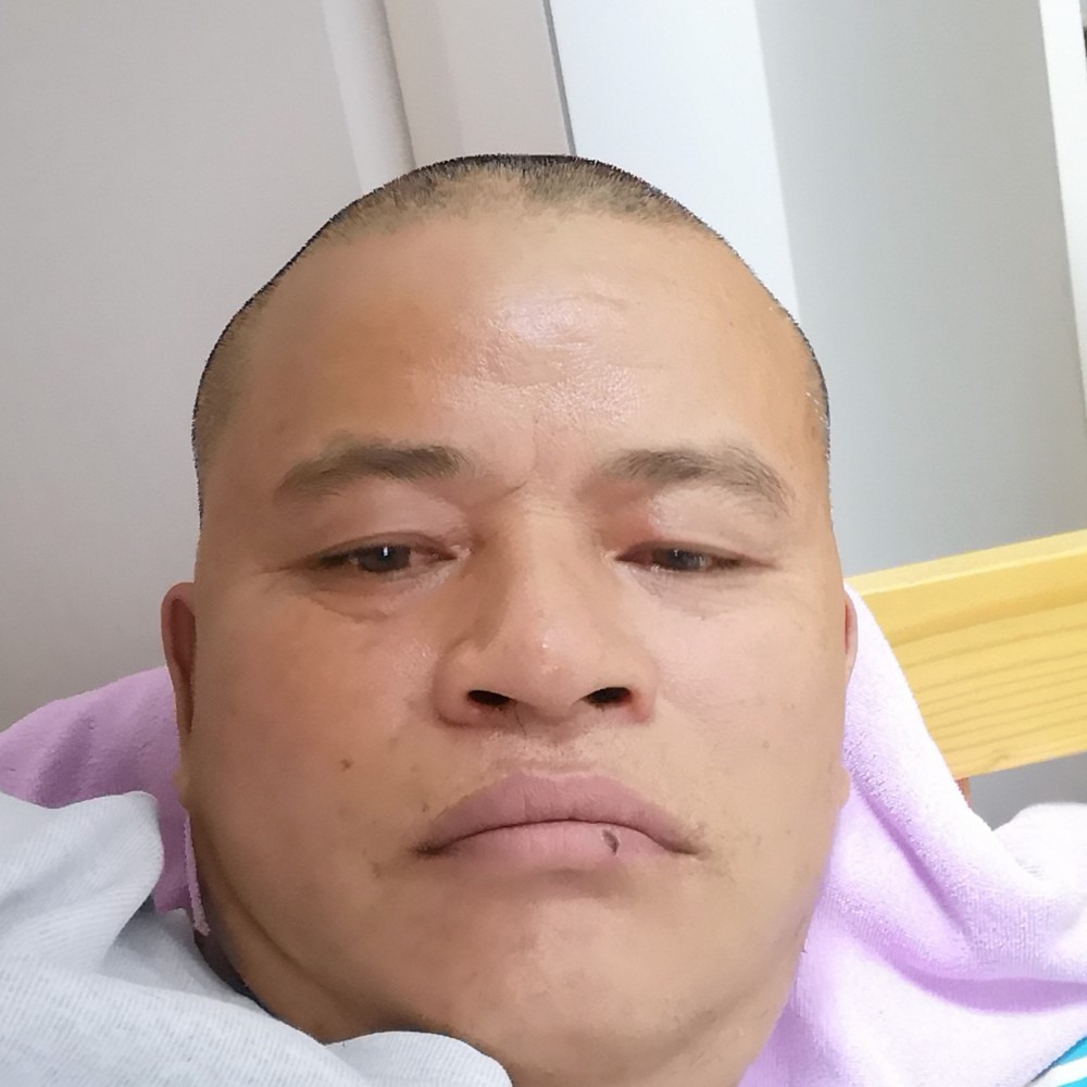 爱听歌拾忆小鸽子的照片