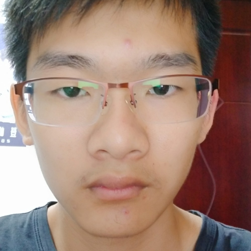 一只纸鹤的照片