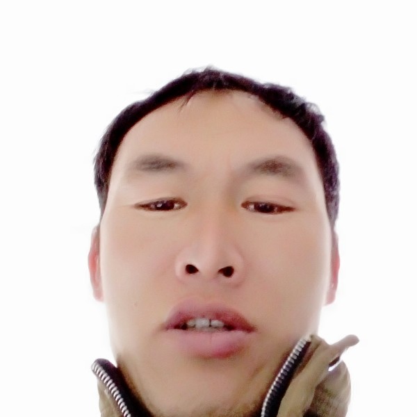 高挑有网络的照片