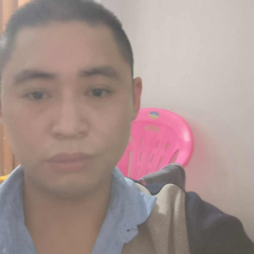 狗爱标致的照片