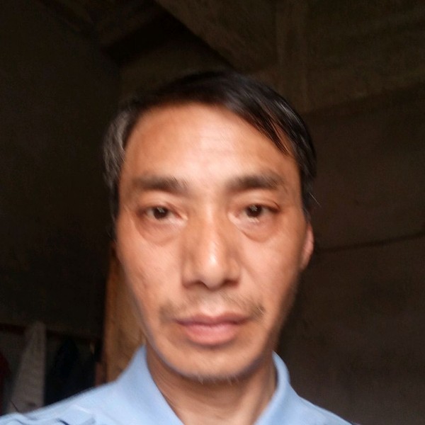 芹菜风趣的照片