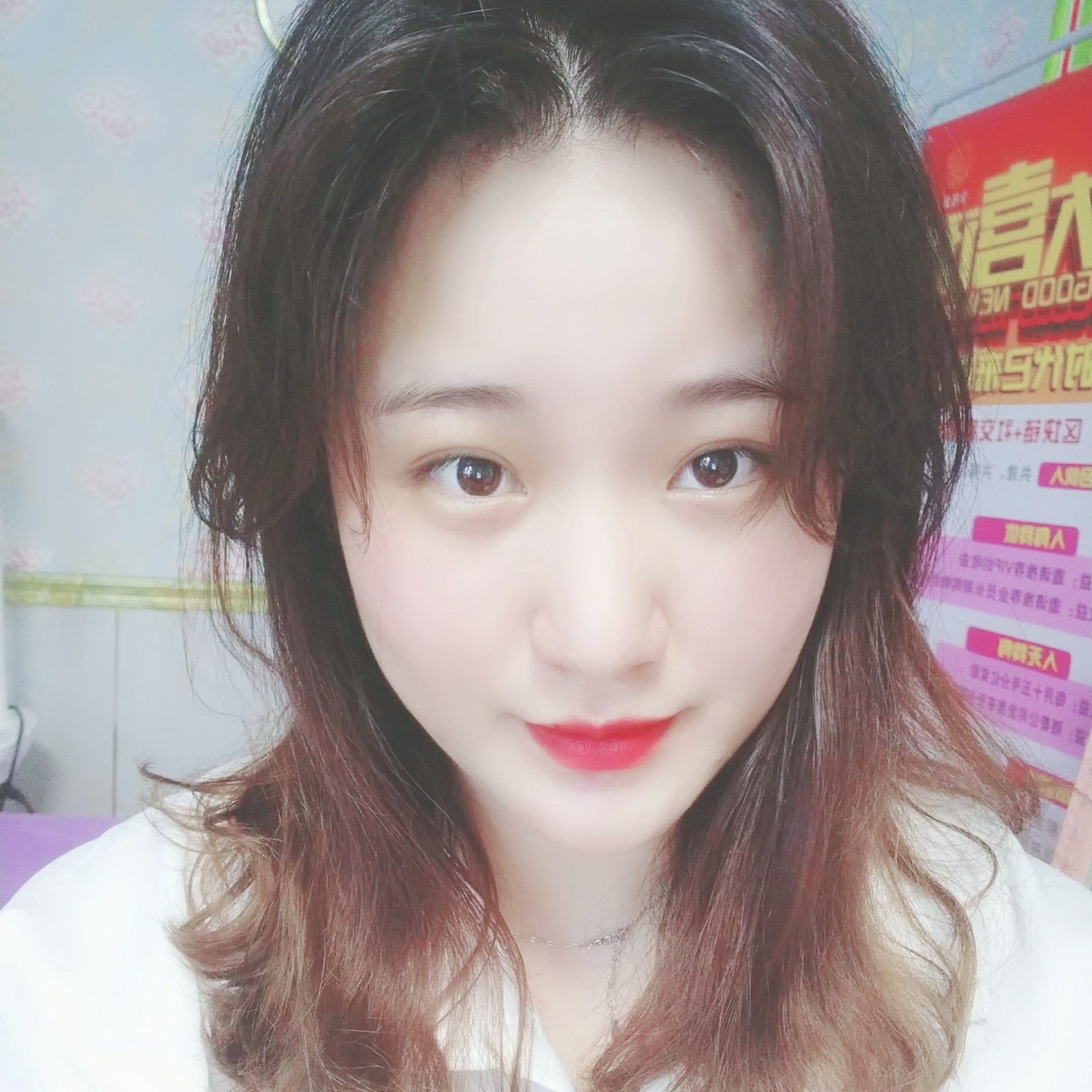 狐狸是个小扇贝的照片