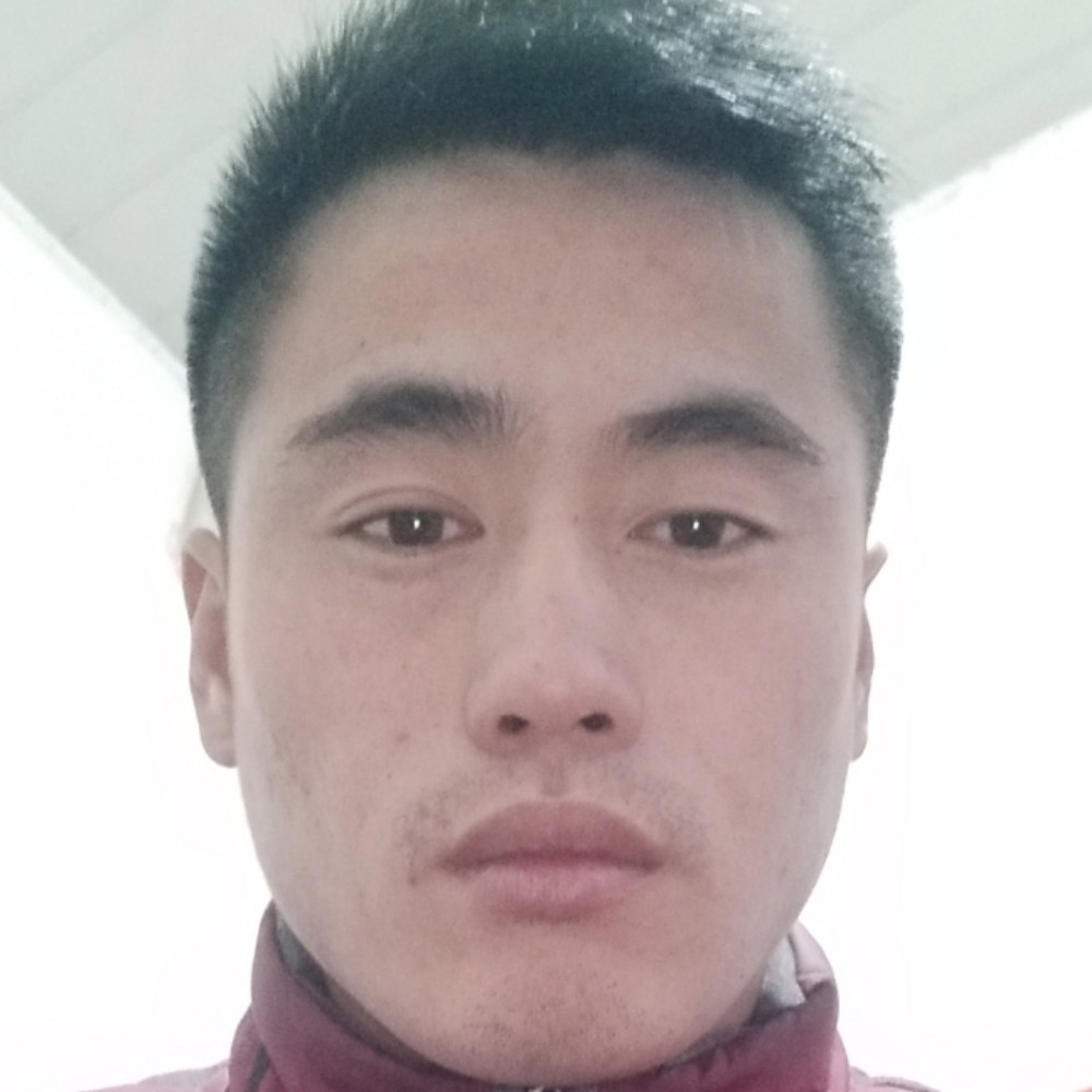 哈喽你好美女的照片