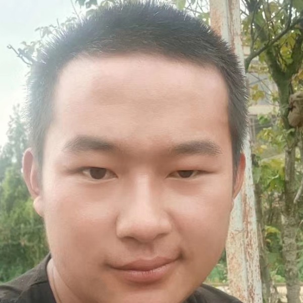 山中飞的照片