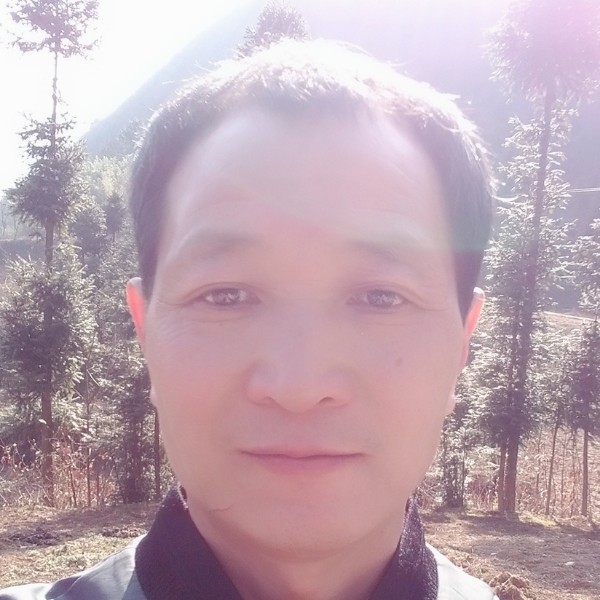 大方篮球的照片