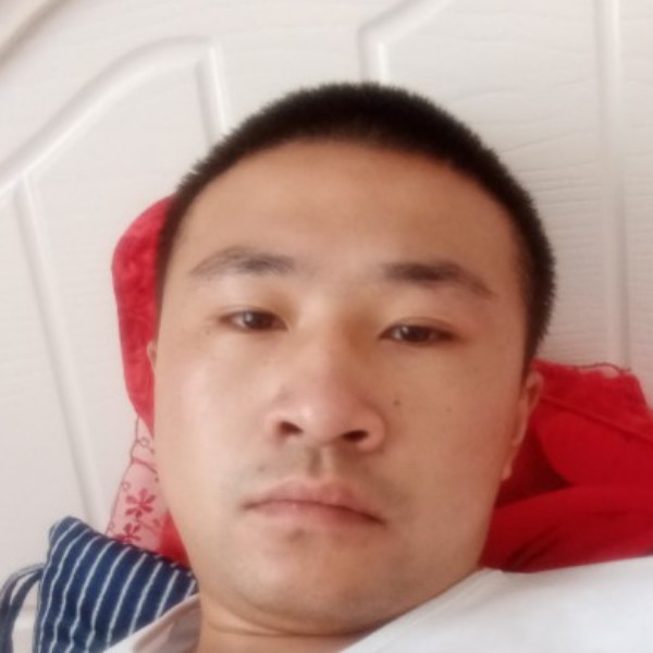 魁梧笑大象的照片