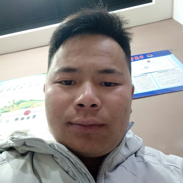 毛豆向缓慢的照片