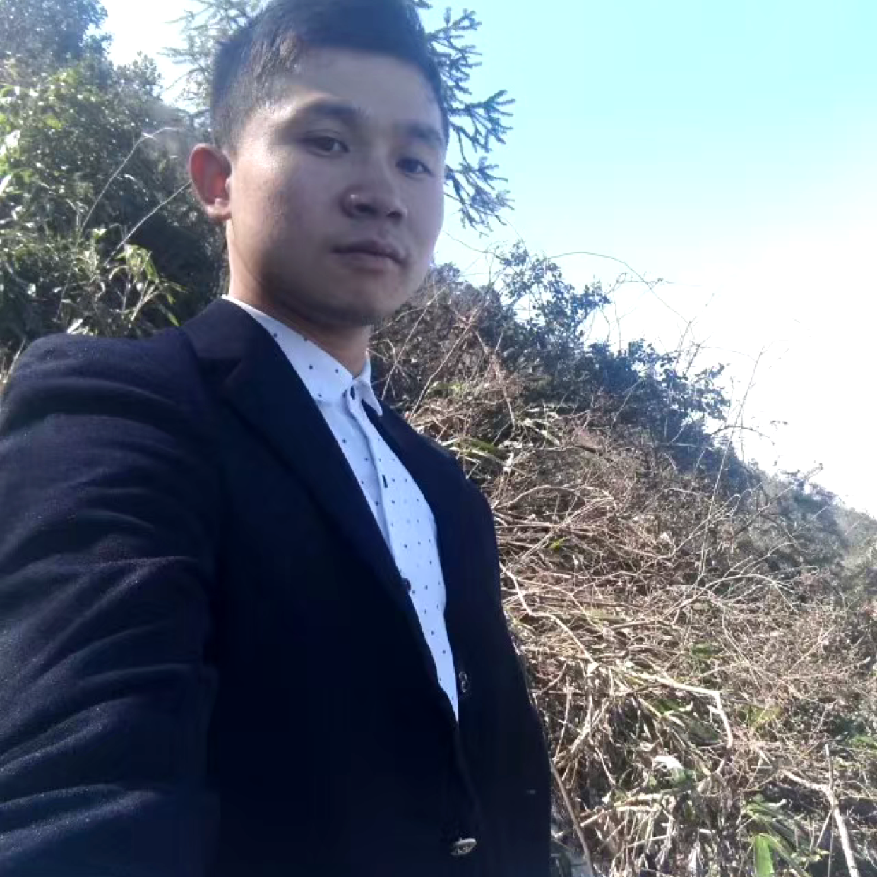 浮光多么勤恳的照片