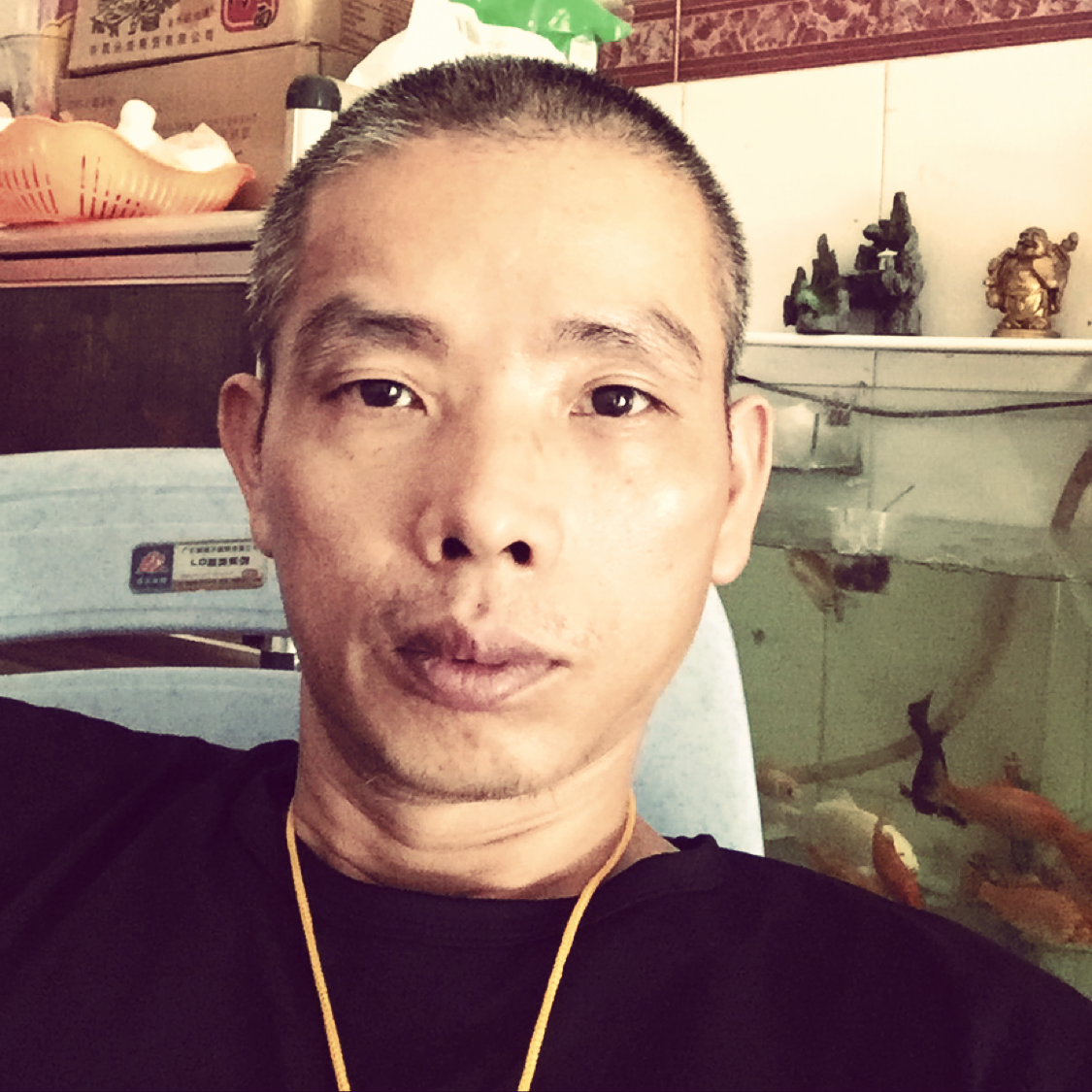 華麗改变森槿的照片