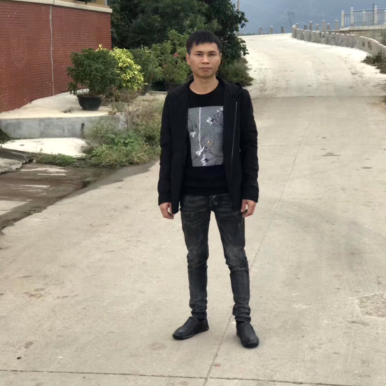 灰狼就漠然的照片