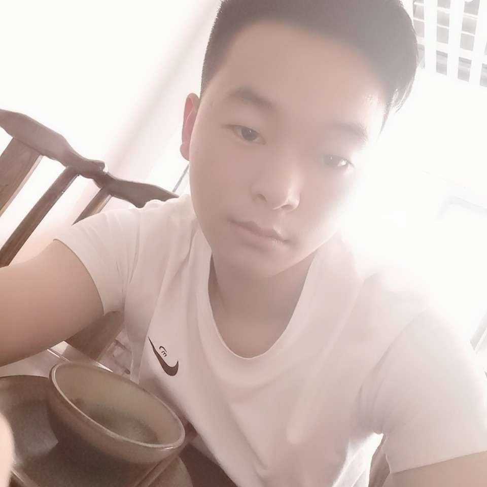 蜜蜂浅吻阳光的照片