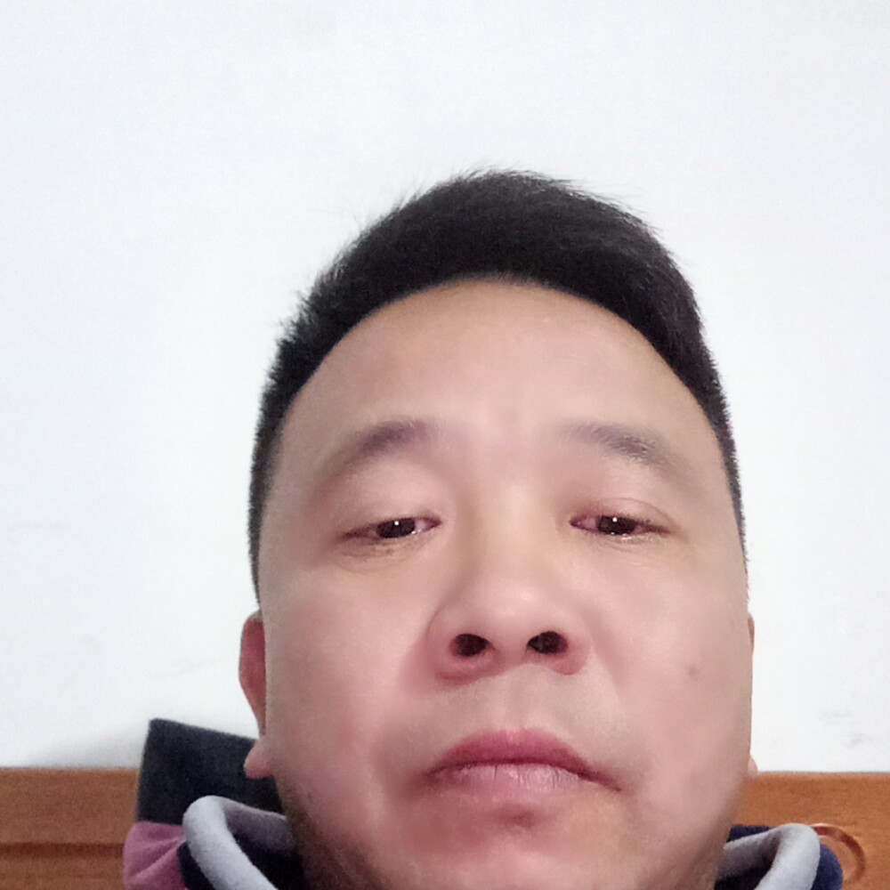 健康长颈鹿的照片