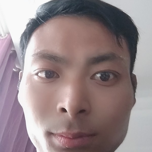 小猫咪给旧时光的照片